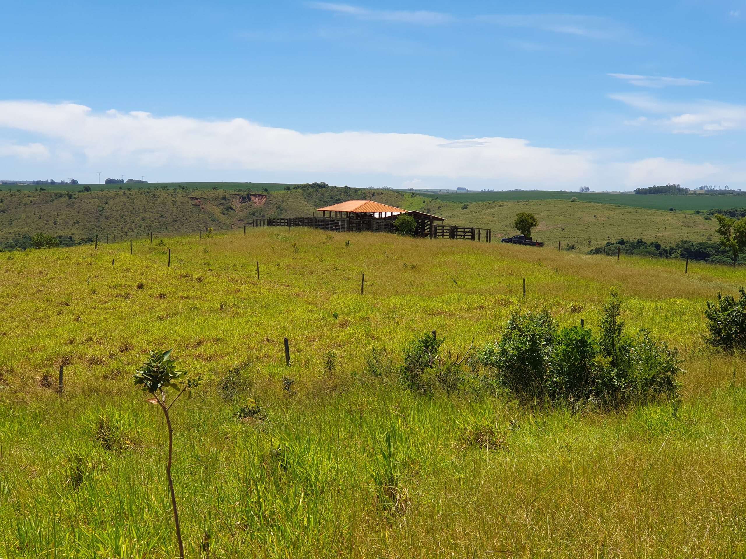 Galeria