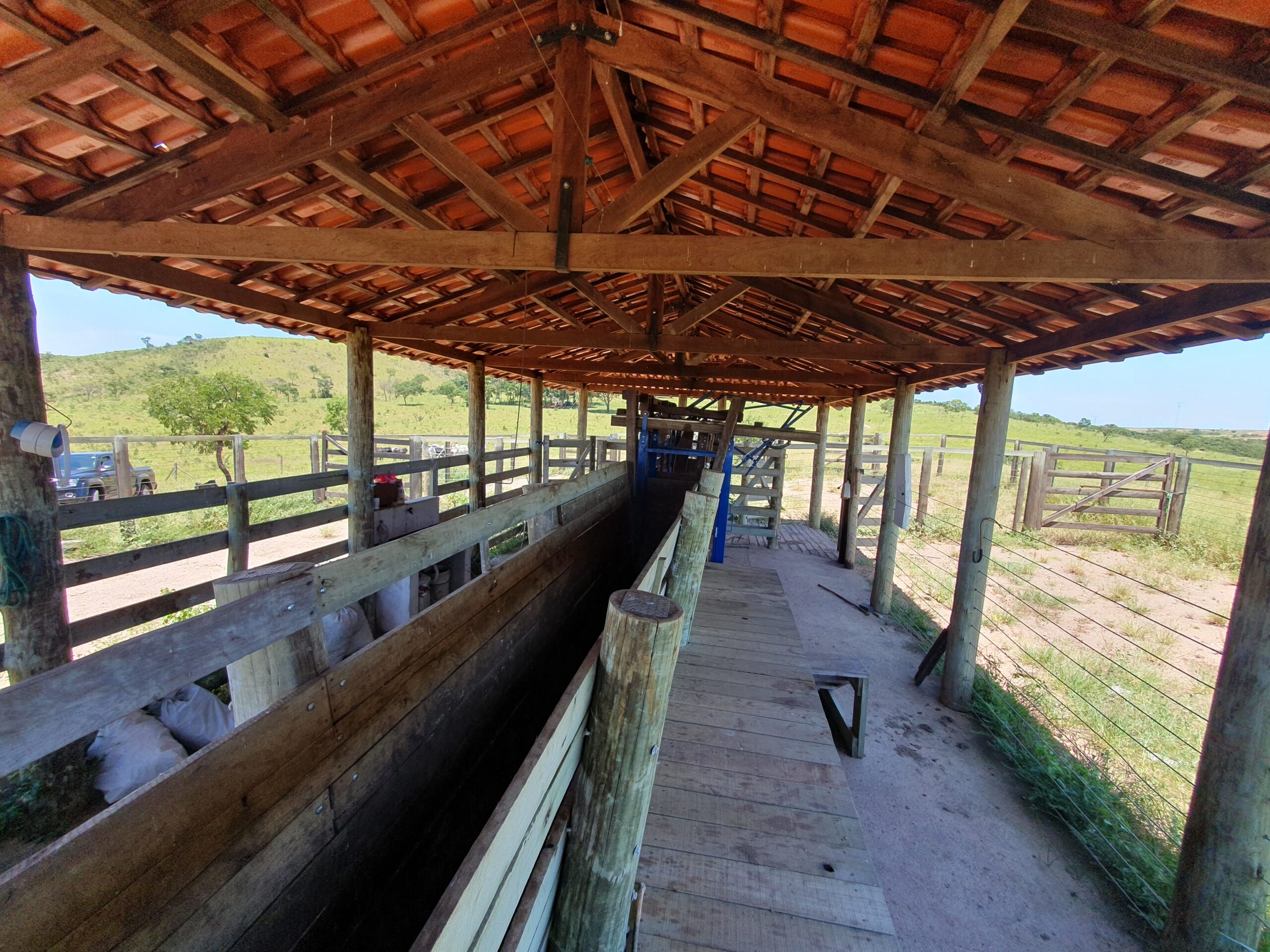 Galeria
