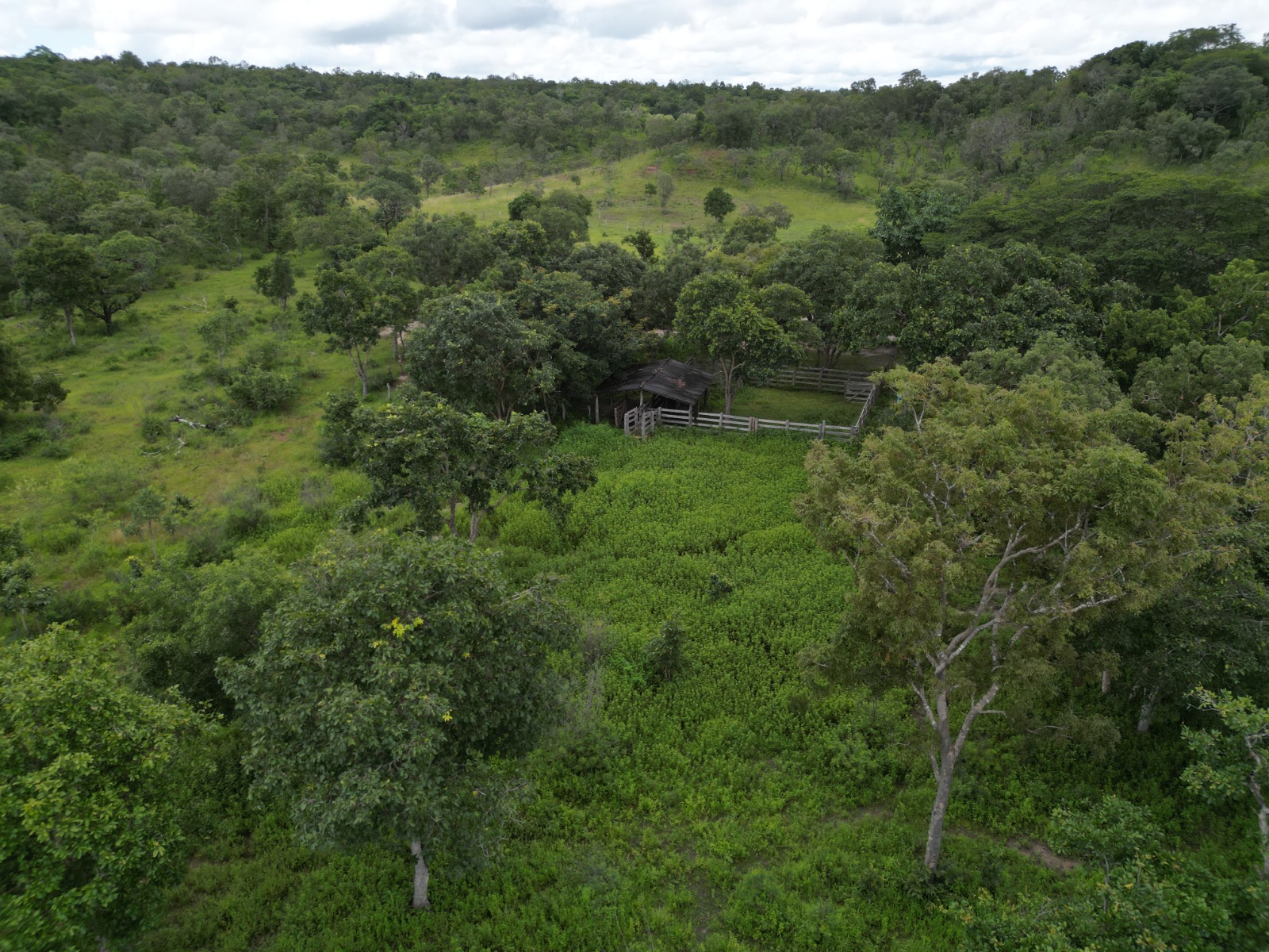 Galeria