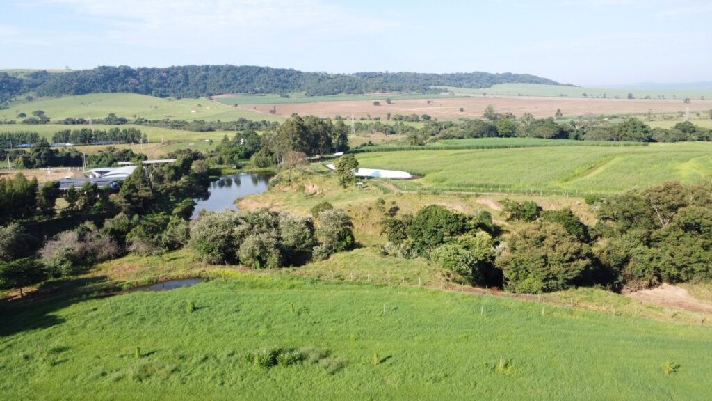 – 212 hectares – Pecuária Leiteira e Corte – Venda Porteira Fechada