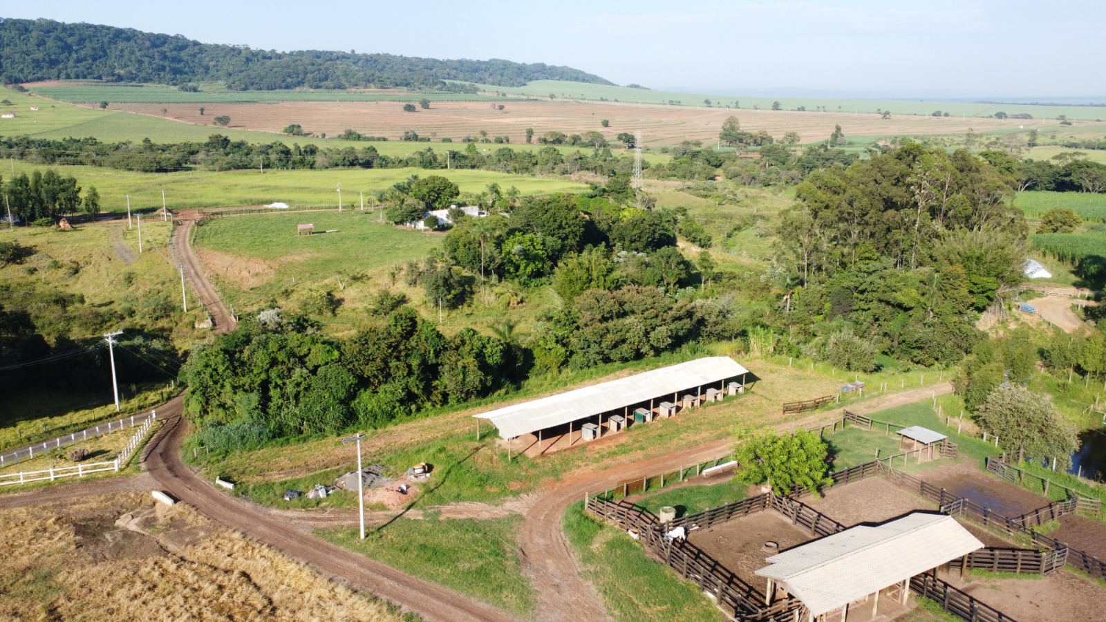 Galeria
