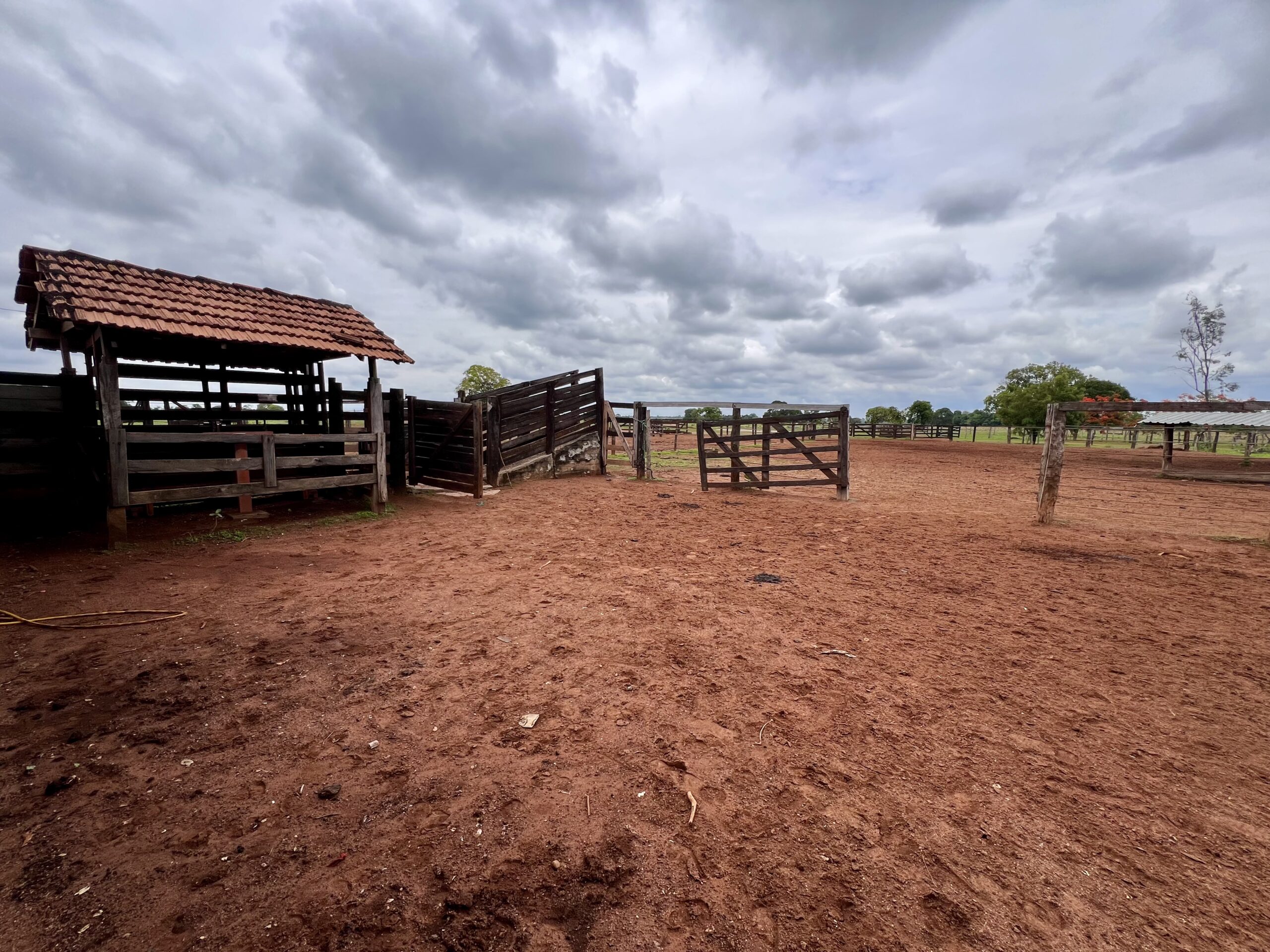 Galeria