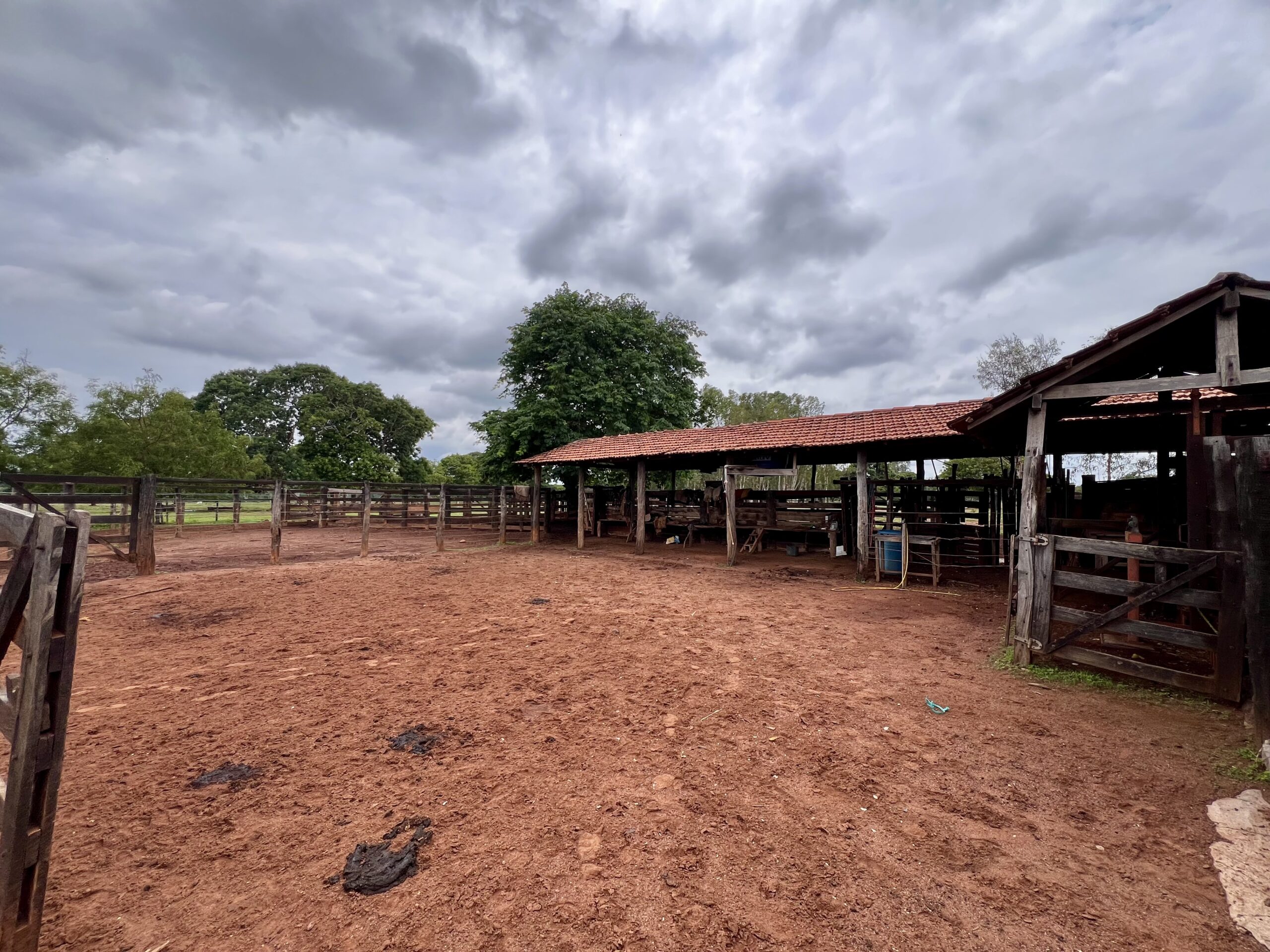Galeria