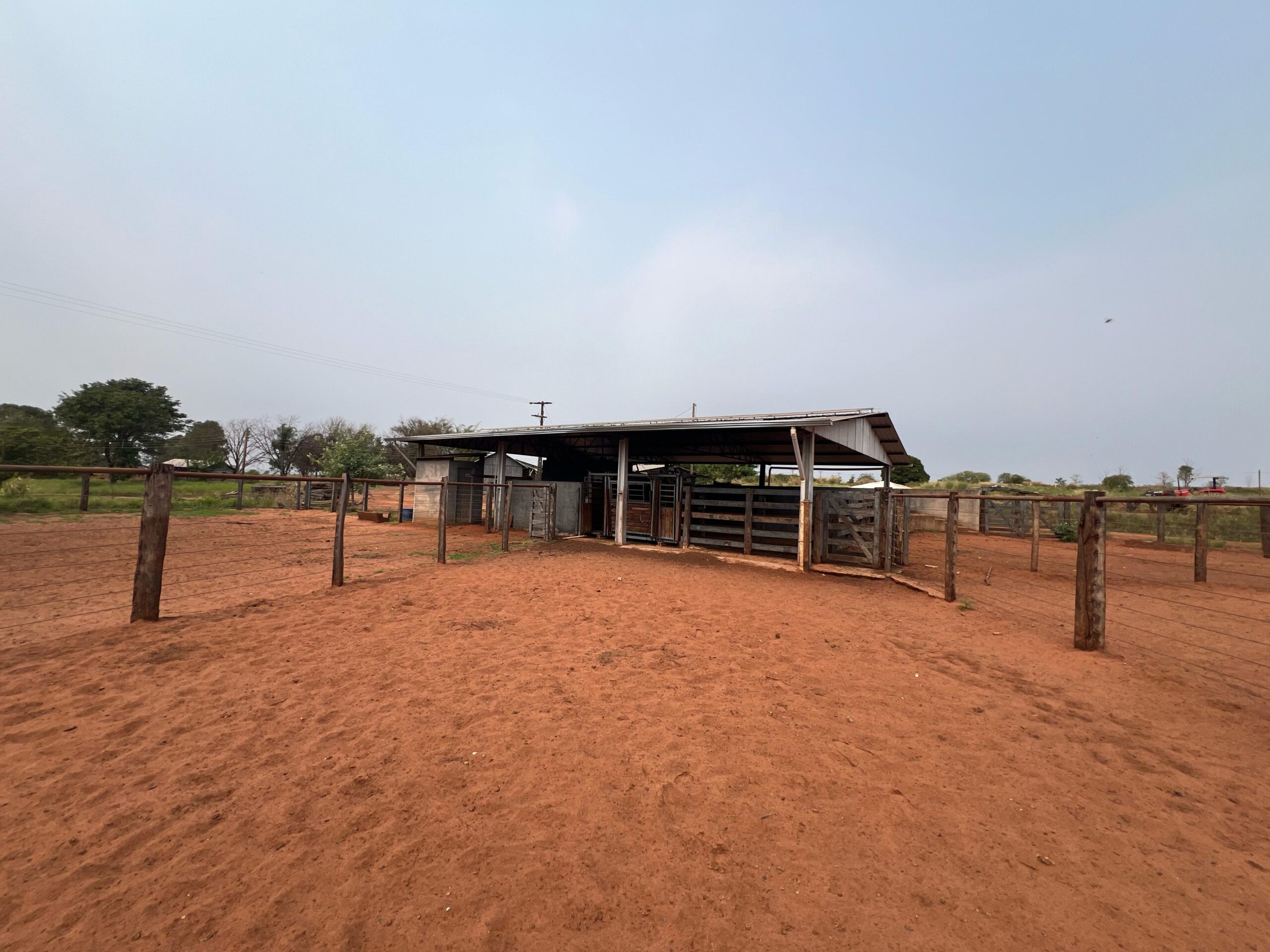 Galeria