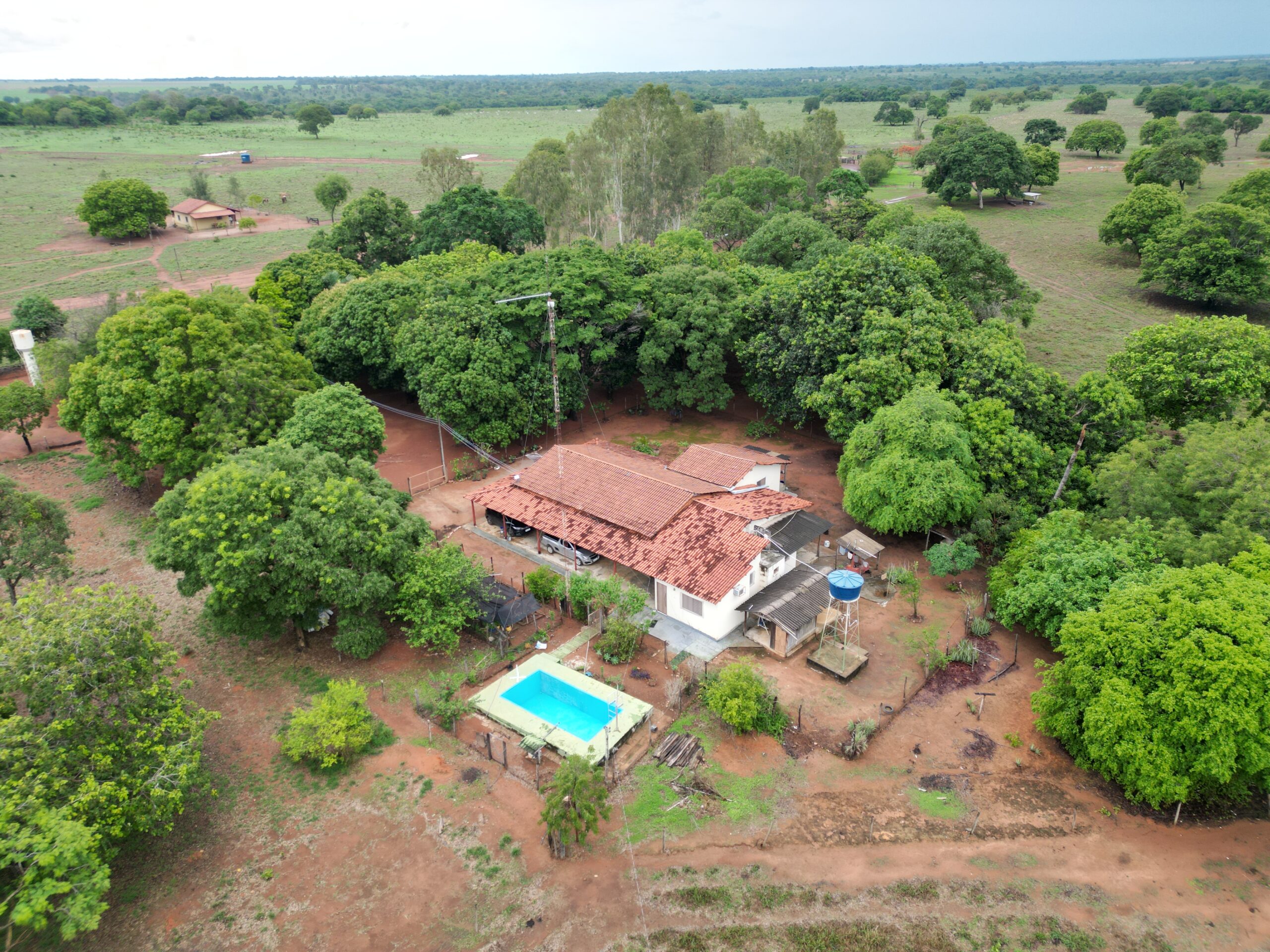 Galeria